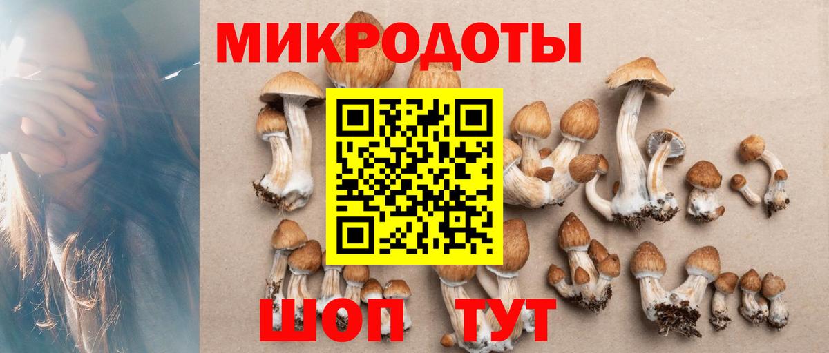 купить   Псилоцибиновые грибы Psilocybine cubensis  Вход с VPN  Лянтор  Псилоцибиновые грибы Psilocybine cubensis 